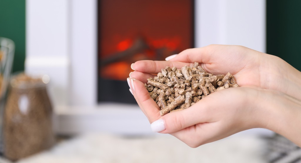 Biomassza, mint megújuló energia