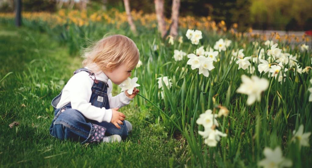 Virágot szedő kislány