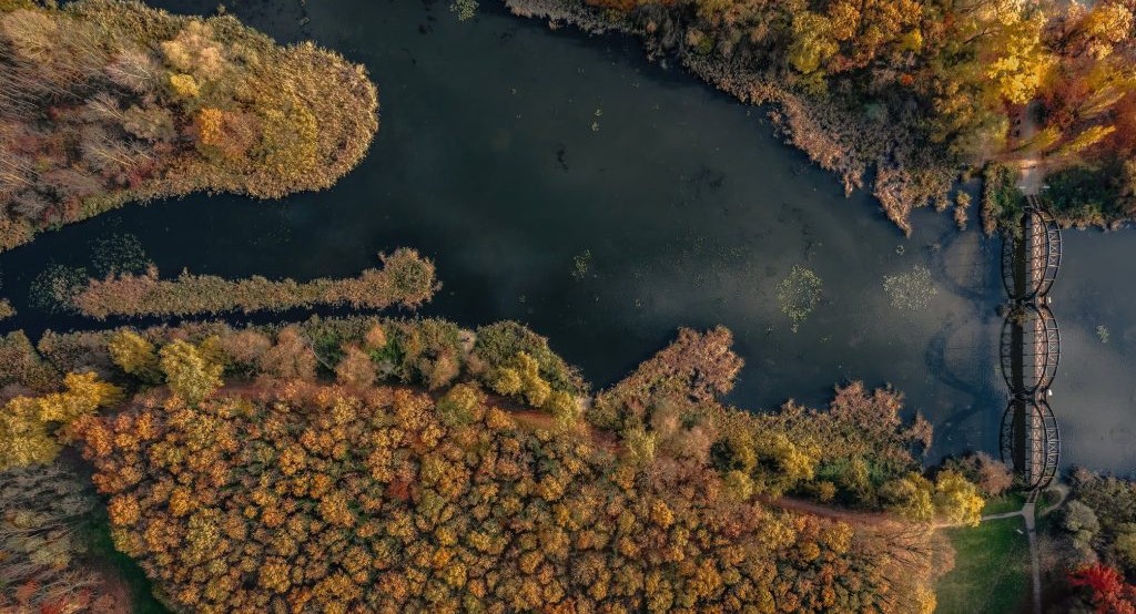 Kis-Balaton ősszel