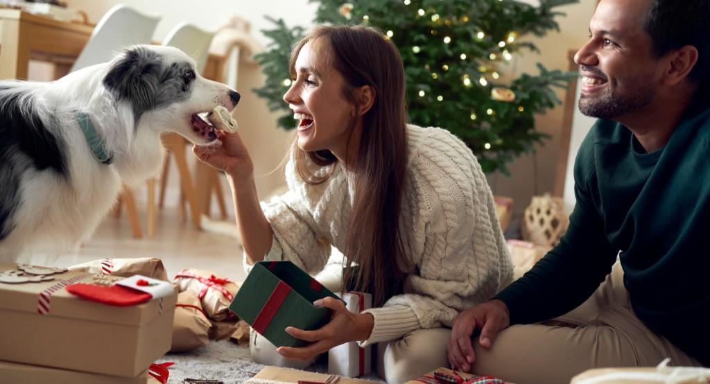 Karácsonyfa előtt ülő nő és férfi a kutya szájába teszi a falatot