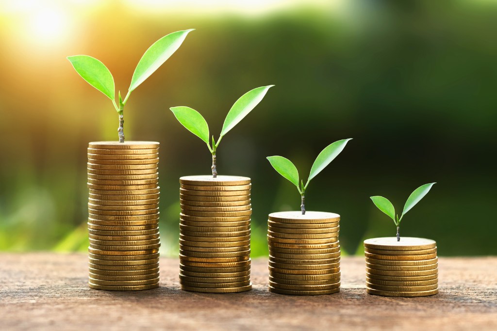 Fémpénzek egymásra 4 oszlopban felépítve, melyek tetjén növény hajt ki.